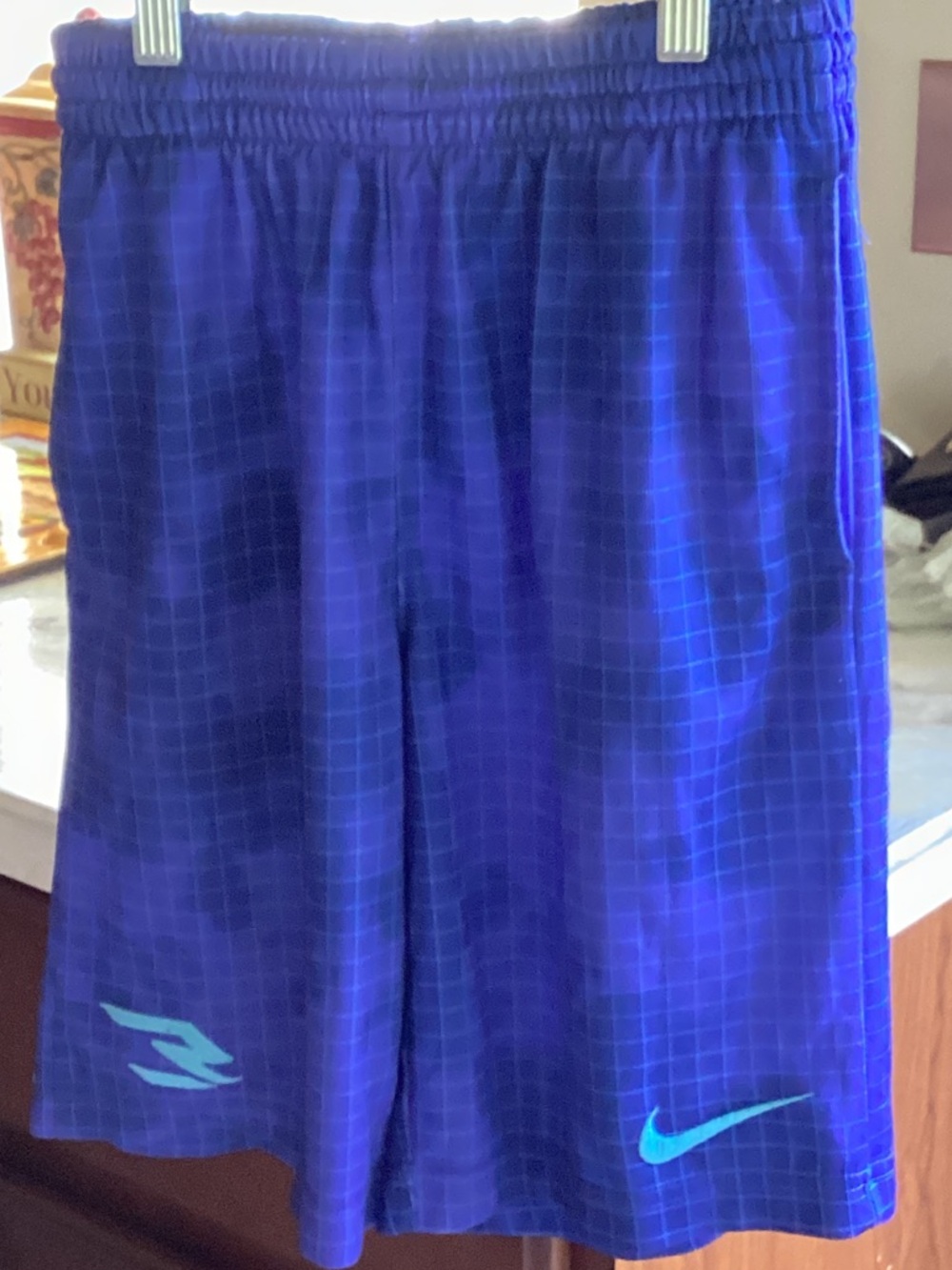 Nike Purple Grid Athletic Shorts with Teal Logo